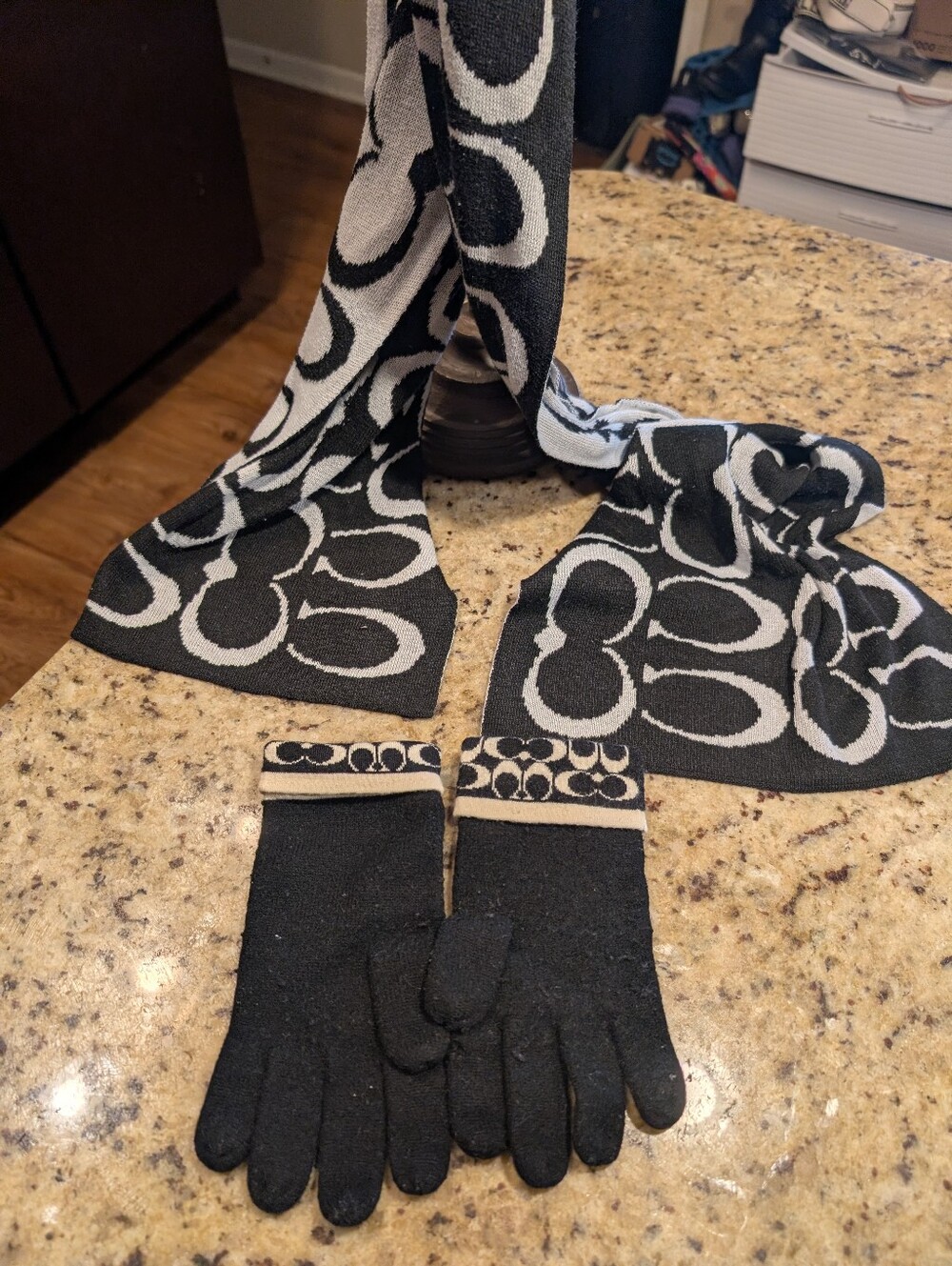 Coach Scarf And Gloves